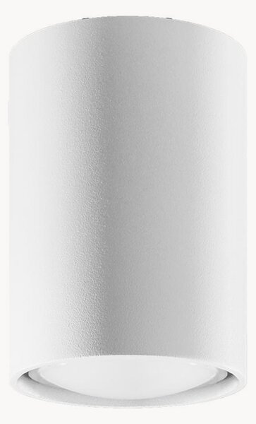 Malé stropné svietidlo Castro, V 20 cm