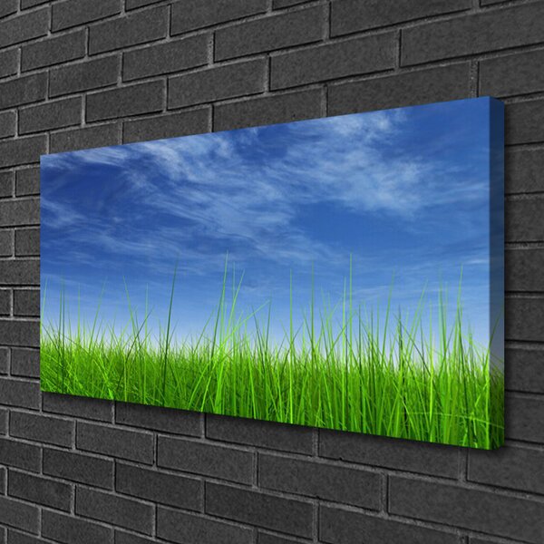 Obraz na plátne Nebo tráva príroda 100x50 cm