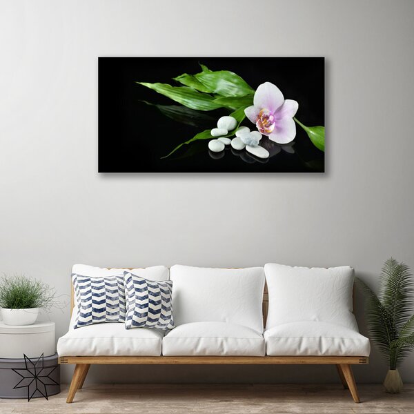 Obraz na plátne Kvet kamene lístie 100x50 cm