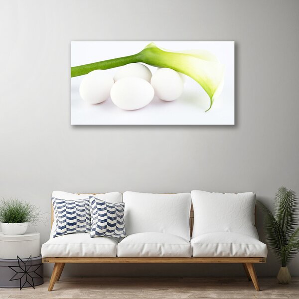 Obraz na plátne Vajíčka 100x50 cm