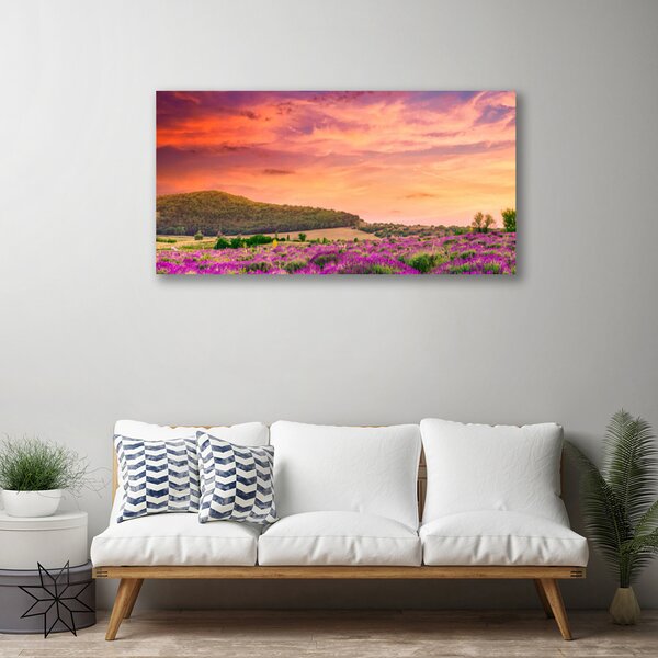 Obraz na plátne Lúka kvety príroda 100x50 cm