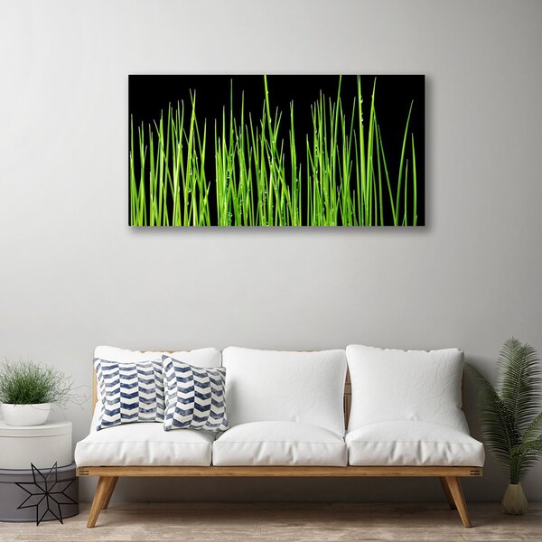 Obraz na plátne Burina 100x50 cm