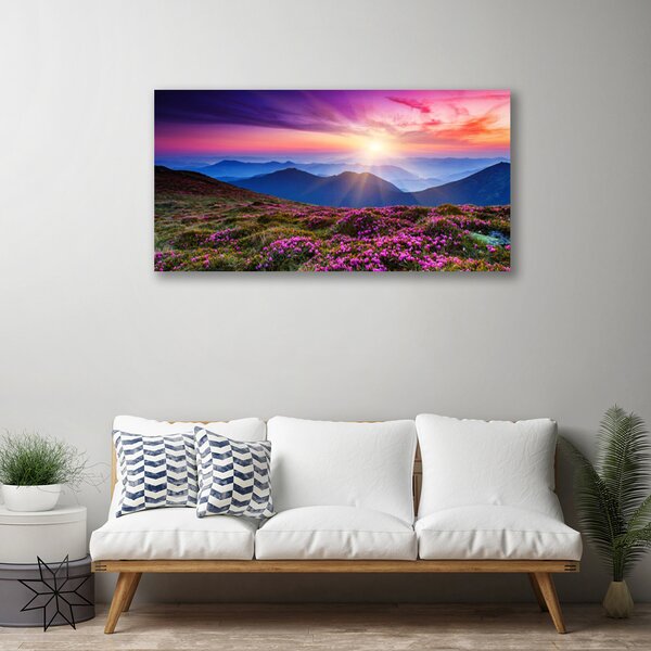 Obraz na plátne Hora lúka kvety príroda 100x50 cm