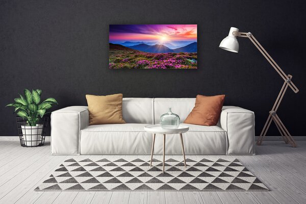 Obraz na plátne Hora lúka kvety príroda 100x50 cm
