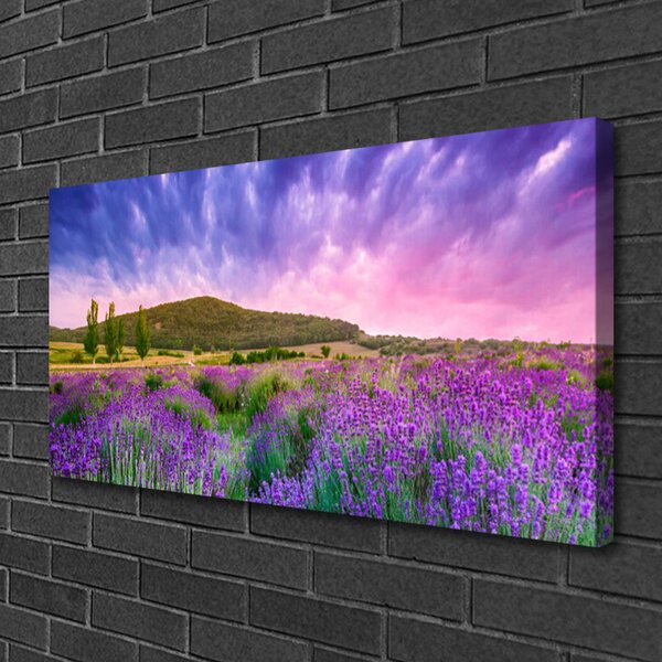 Obraz na plátne Lúka kvety hory príroda 100x50 cm