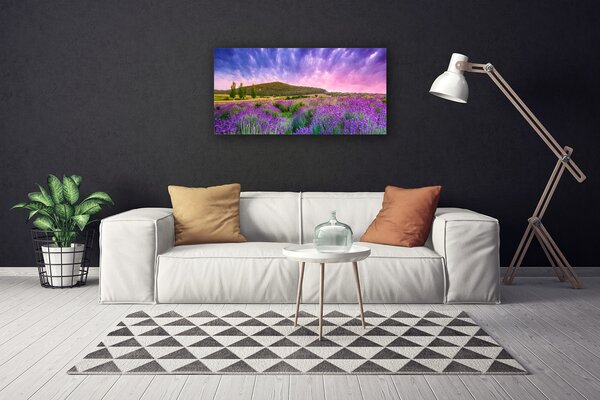 Obraz na plátne Lúka kvety hory príroda 100x50 cm