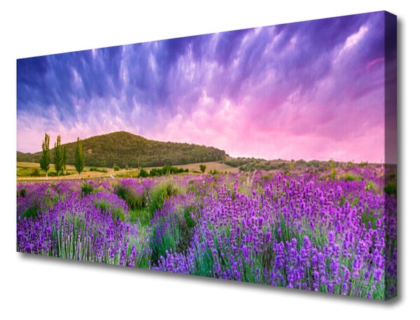 Obraz na plátne Lúka kvety hory príroda 125x50 cm
