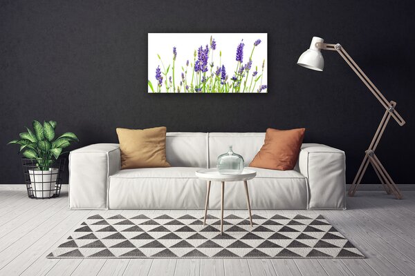 Obraz na plátne Kvety 100x50 cm