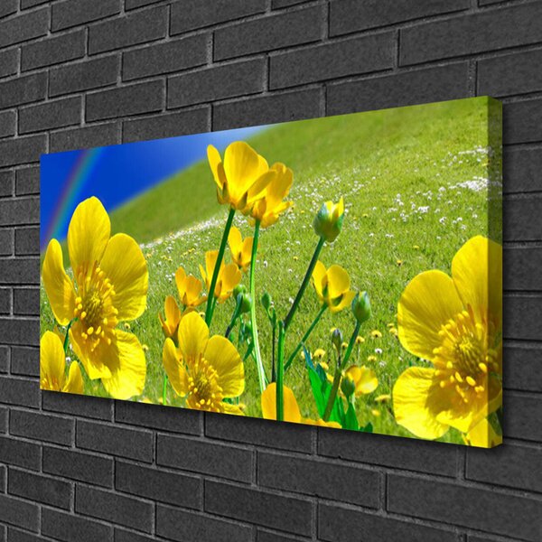 Obraz na plátne Lúka kvety dúha príroda 100x50 cm