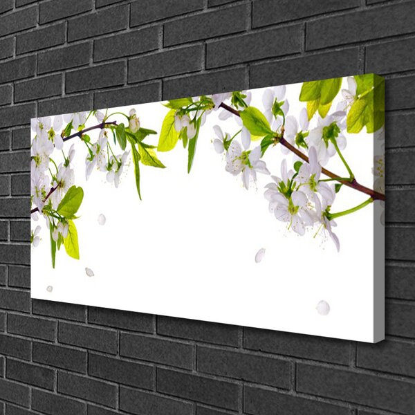Obraz na plátne Plátky príroda 100x50 cm