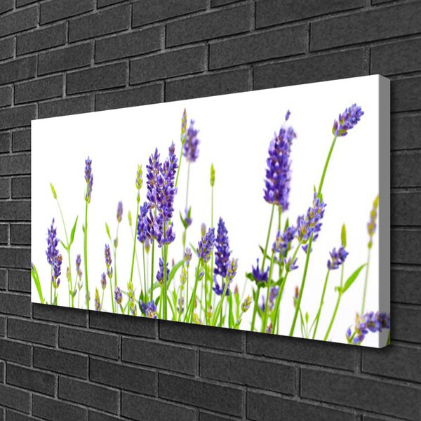 Obraz na plátne Kvety 100x50 cm