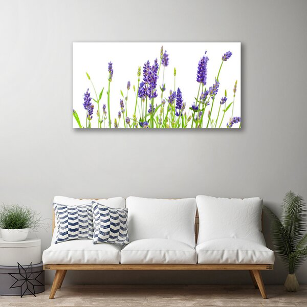 Obraz na plátne Kvety 100x50 cm