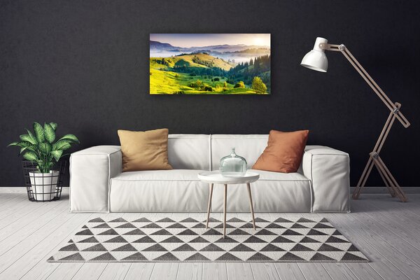 Obraz na plátne Hora pole hmla príroda 100x50 cm