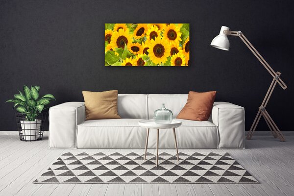 Obraz na plátne Slnečnica 100x50 cm