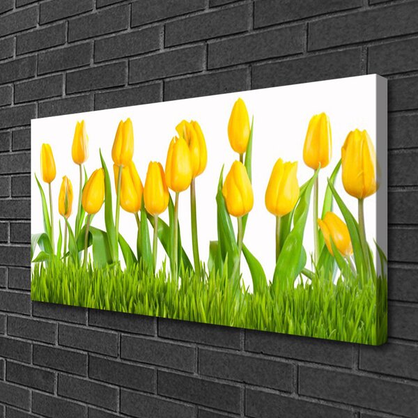 Obraz na plátne Tulipány 100x50 cm