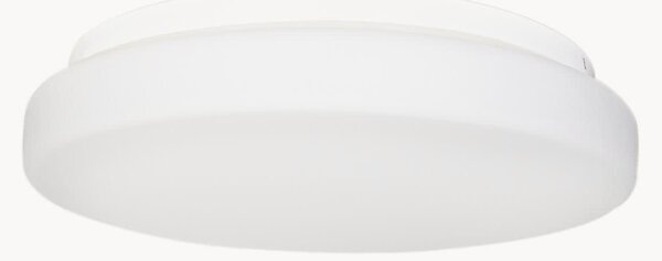 Stmievateľné stropné LED svietidlo Ocean II