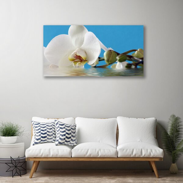 Obraz na plátne Kvet rastlina príroda 100x50 cm
