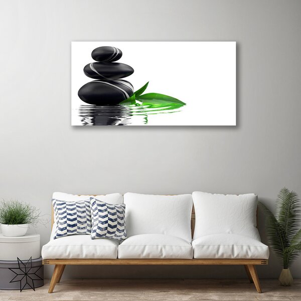 Obraz na plátne Kamene listy voda umenie 100x50 cm