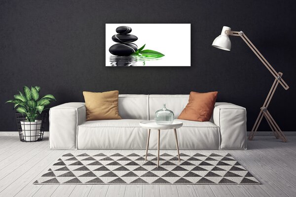 Obraz na plátne Kamene listy voda umenie 100x50 cm