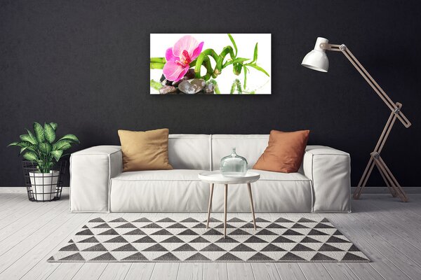 Obraz na plátne Kvet rastlina príroda 100x50 cm