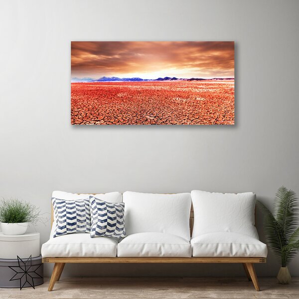Obraz na plátne Púšť krajina 100x50 cm