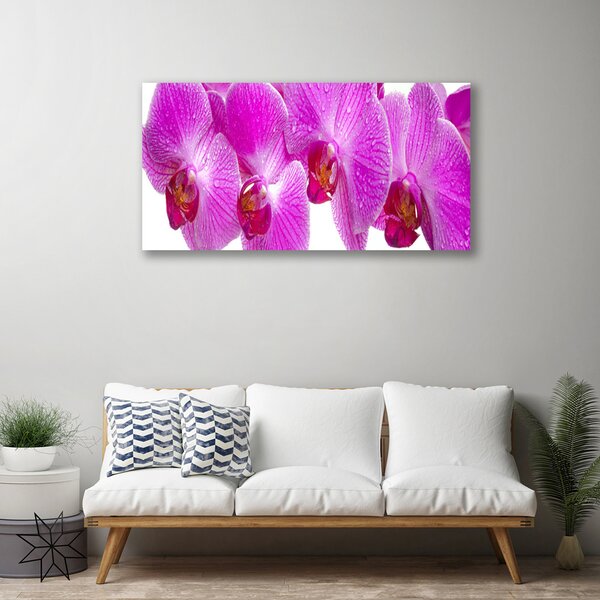 Obraz na plátne Kvety rastlina príroda 100x50 cm