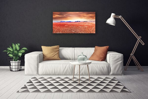 Obraz na plátne Púšť krajina 100x50 cm