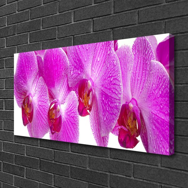 Obraz na plátne Kvety rastlina príroda 100x50 cm