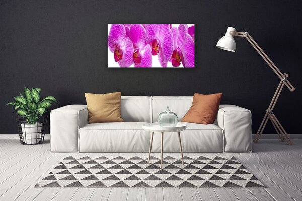Obraz na plátne Kvety rastlina príroda 100x50 cm