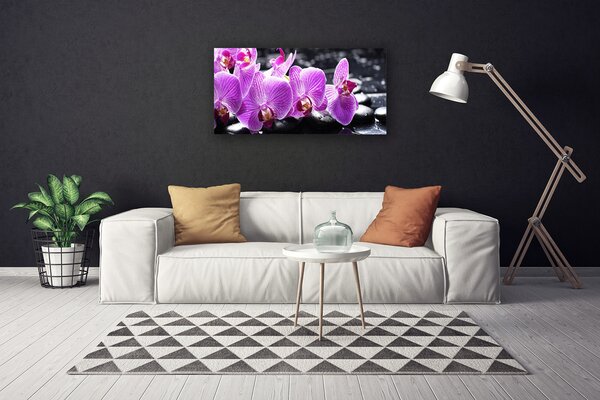 Obraz na plátne Kvet kamene 100x50 cm