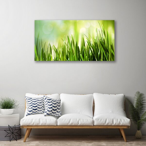 Obraz na plátne Tráva príroda 100x50 cm