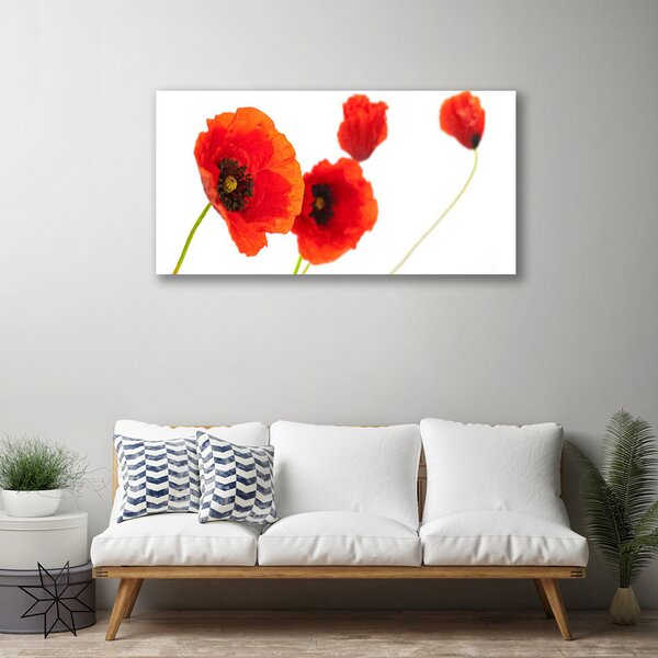 Obraz na plátne Kvety rastlina 100x50 cm
