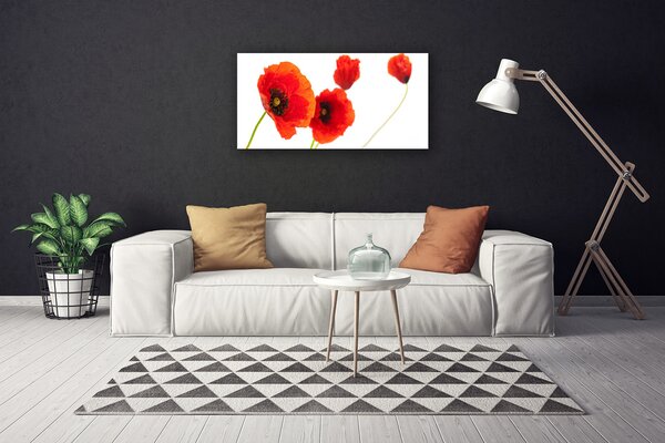 Obraz na plátne Kvety rastlina 100x50 cm