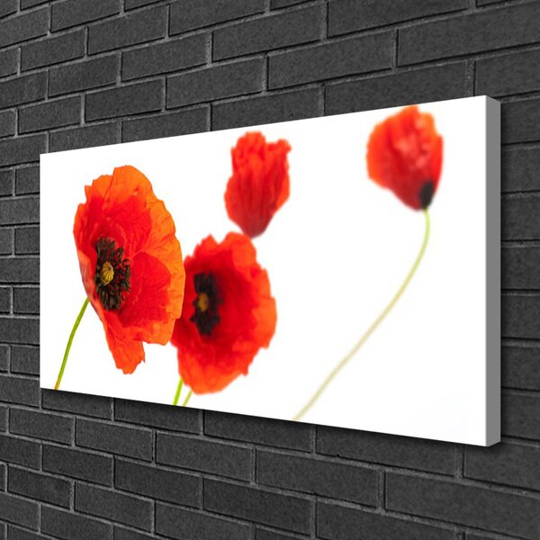 Obraz na plátne Kvety rastlina 100x50 cm