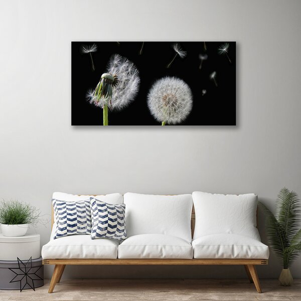 Obraz na plátne Púpava 100x50 cm