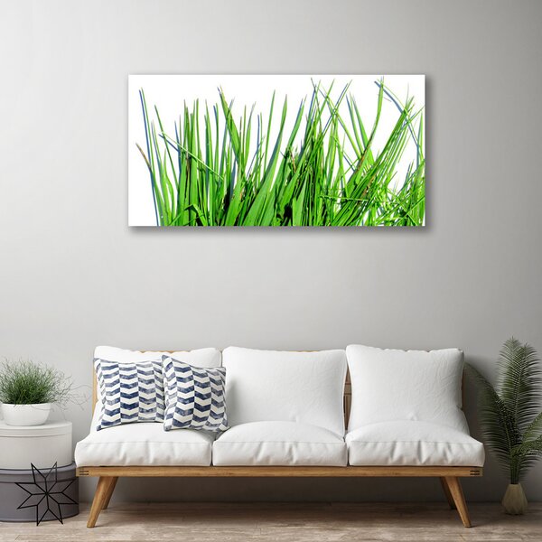 Obraz na plátne Tráva 100x50 cm