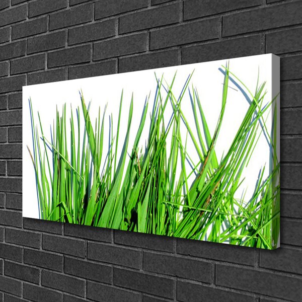 Obraz na plátne Tráva 100x50 cm