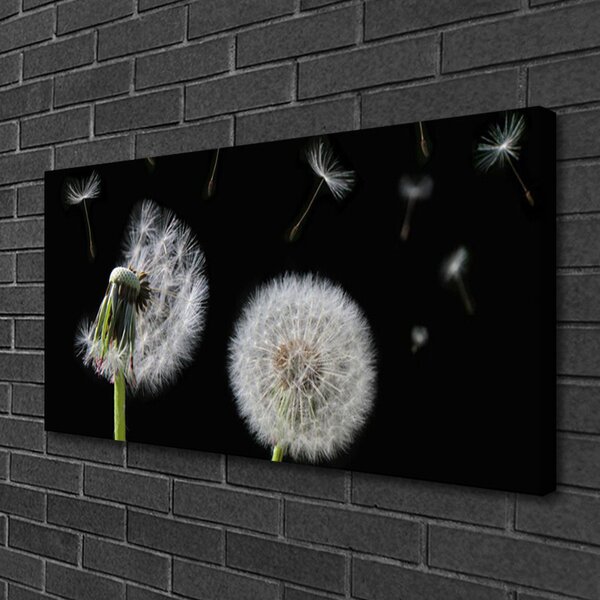 Obraz na plátne Púpava 100x50 cm