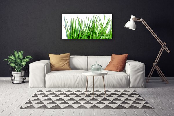 Obraz na plátne Tráva 100x50 cm