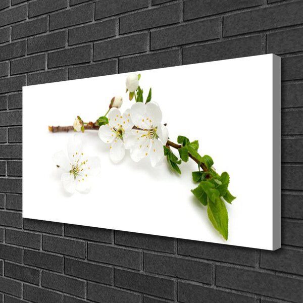 Obraz na plátne Kvet vetva príroda 100x50 cm
