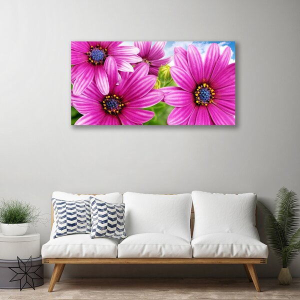 Obraz na plátne Kvety 100x50 cm