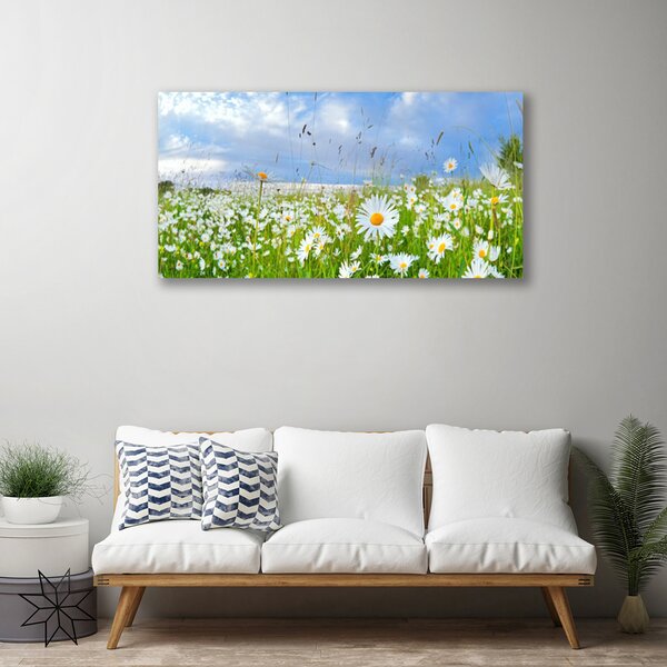 Obraz na plátne Lúka sedmokrásky príroda 100x50 cm