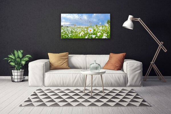 Obraz na plátne Lúka sedmokrásky príroda 100x50 cm