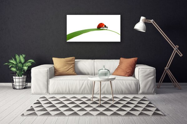 Obraz na plátne Lienka príroda 100x50 cm