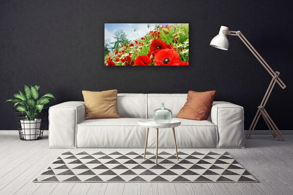 Obraz na plátne Kvety príroda 100x50 cm