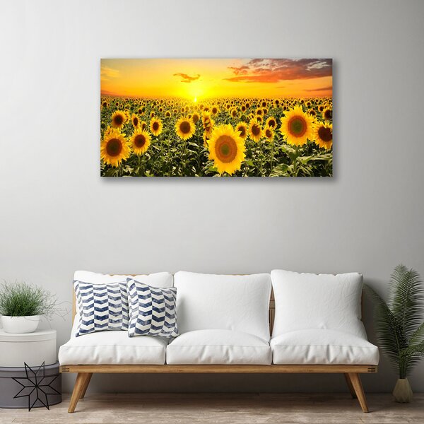 Obraz na plátne Slnečnica 100x50 cm