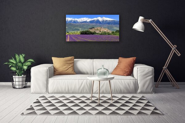 Obraz na plátne Lúka kvety hory príroda 100x50 cm