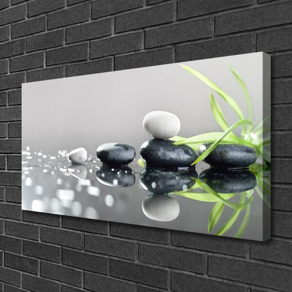 Obraz na plátne Kamene tráva umenie 100x50 cm