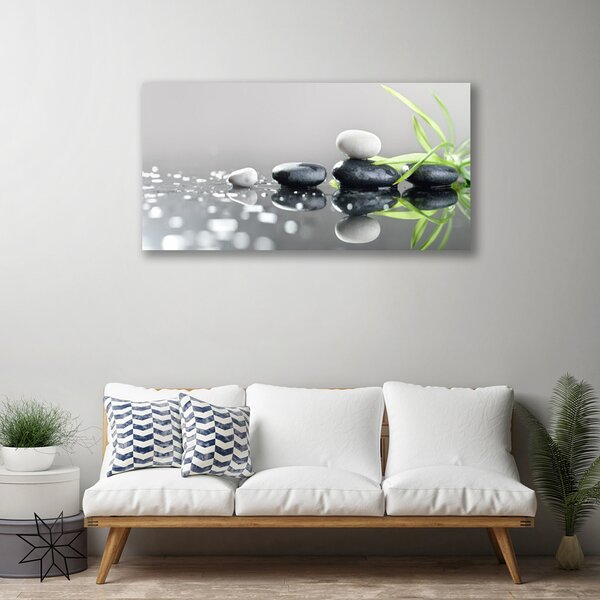Obraz na plátne Kamene tráva umenie 100x50 cm