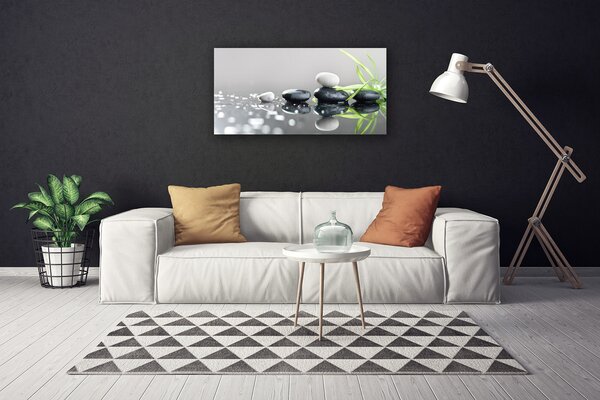 Obraz na plátne Kamene tráva umenie 100x50 cm